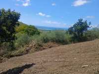 House 2964091537