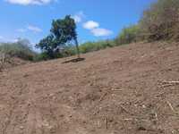House 2964091543