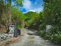 House 2850123987