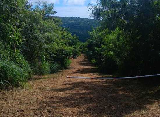 60 B&C Salt River NB, 25-84, Other, Lots and Land,  for sale - Dionne Nelthropp, Hibiscus Homes