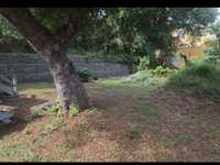 House 2994025086