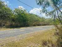 House 2854073399