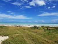 House 2854073442