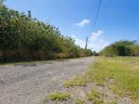 House 2854073447