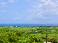 House 2855396461