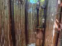 House 2879564047
