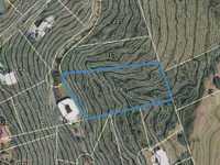 House 2856673890