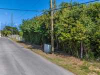 House 2857942523