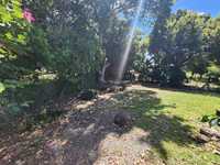 House 2861024613