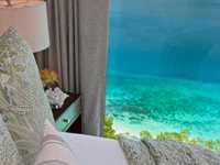 House 2883678657