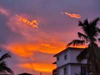 House 2868093010
