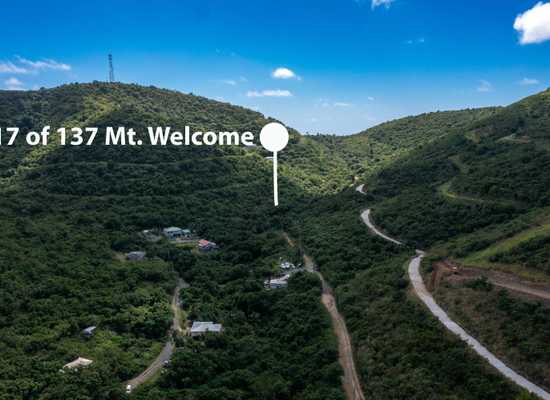 17 of 137 Mt. Welcome EA, 25-242, Other, Lots and Land,  for sale - Dionne Nelthropp, Hibiscus Homes