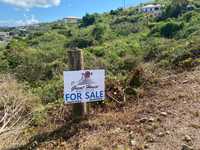 House 2871918367