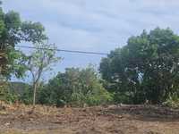 House 2875529606