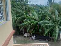 House 2878123842