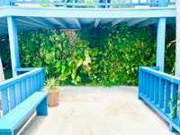 House 2974727166