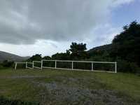 House 2882408224