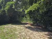 House 2882409981