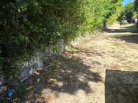 House 2882409984