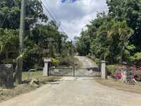 House 2883680729