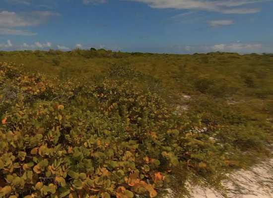 178 West End BVI, 26-342, Other, Lots and Land,  for sale - Dionne Nelthropp, Hibiscus Homes