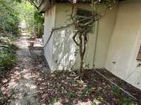 House 2887677251