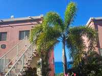 House 2890276597