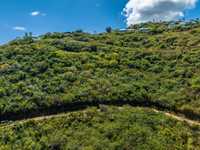House 2890285784