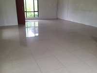 House 2894738850