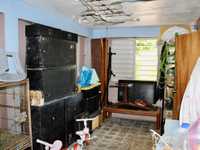 House 2895409495