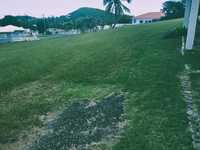 House 2896538740