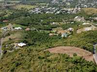 House 2900729431