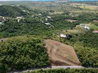 House 2900729185