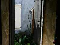 House 2902204338