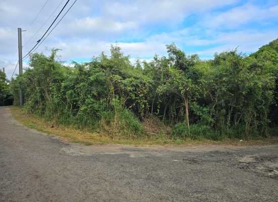 56 Montpellier QU, 26-453, Other, Lots and Land,  for sale - Dionne Nelthropp, Hibiscus Homes