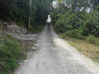 House 2903642926