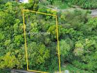 House 2903642995