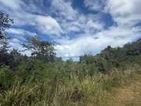 House 2903643020