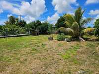 House 2911947624