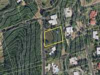 House 2916188483