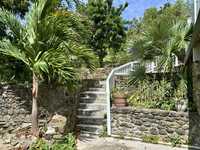 House 2916184367