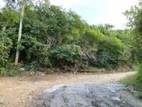 House 2914870674