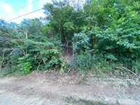 House 2914870680
