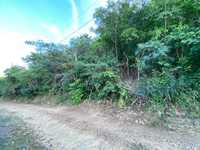 House 2914870687