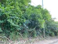 House 2914870699