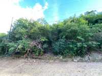 House 2914870784