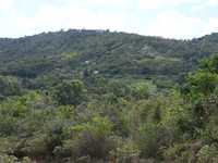 House 3010697653