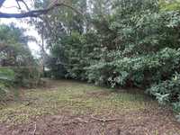 House 2917433629