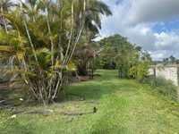 House 2917433529