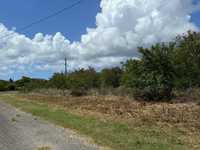 House 2917446268